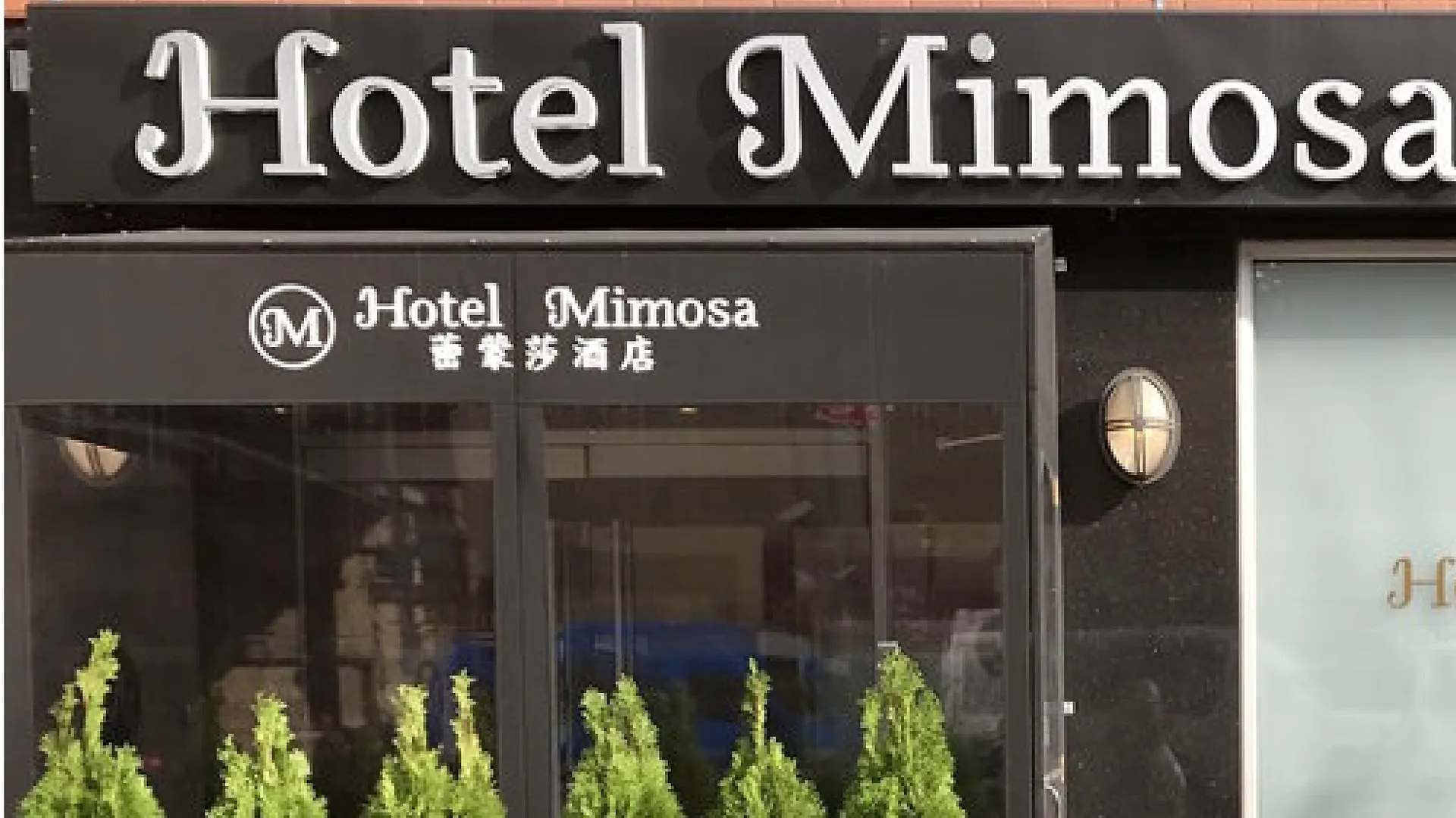 Hotel Mimosa Nueva York