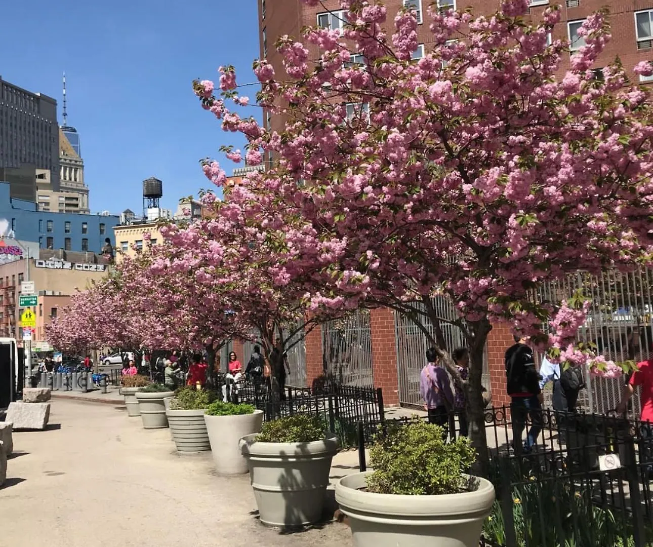 ***  Hotel Mimosa New York Verenigde Staten