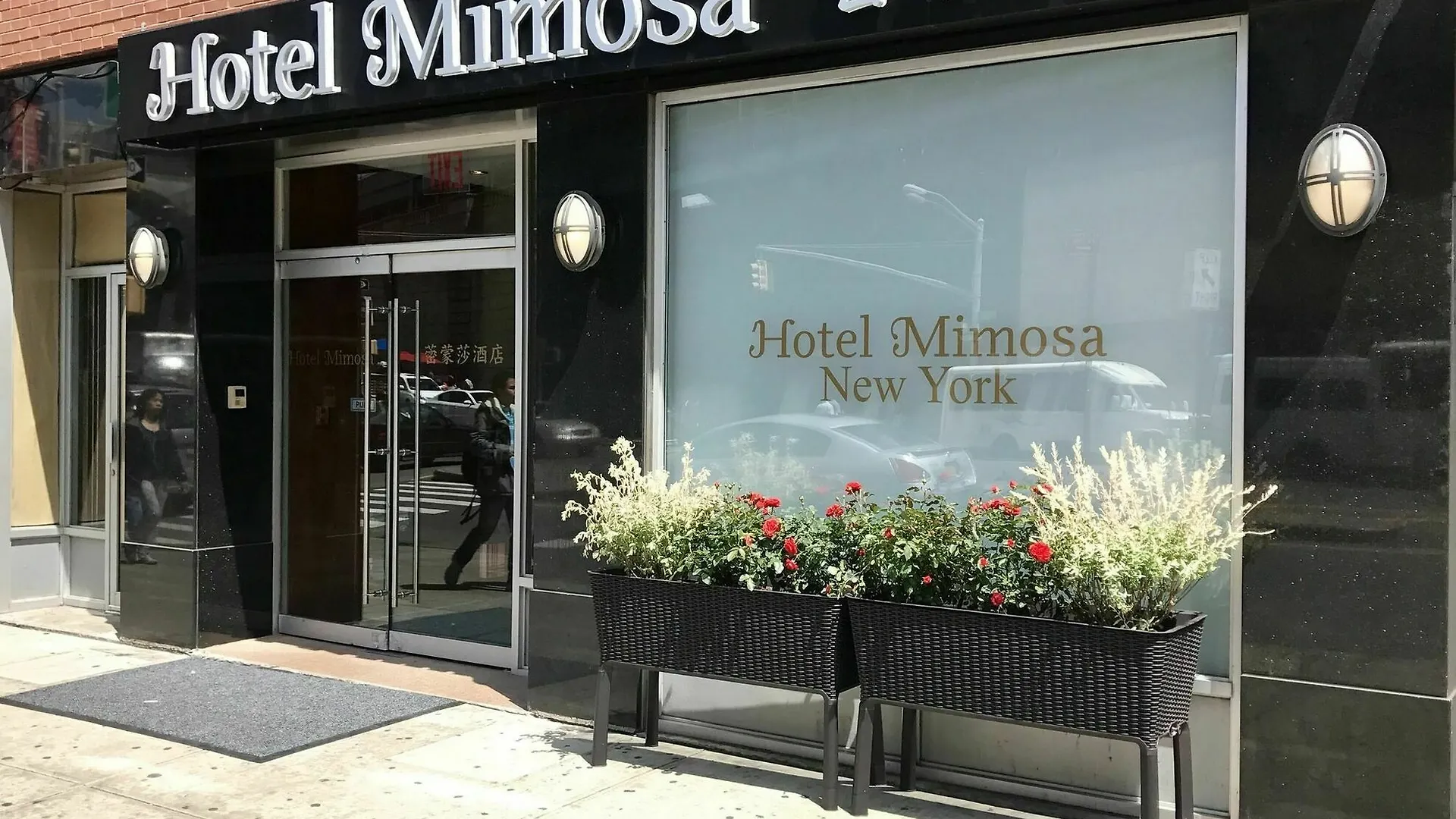 Hotel Mimosa Nueva York